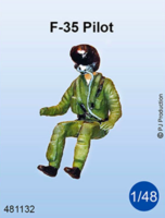F-35 Pilot seated in a/c